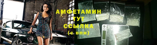стафф Кодинск