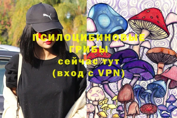 стафф Кодинск