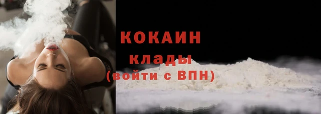 стафф Кодинск