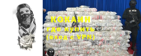 стафф Кодинск