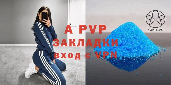 стафф Кодинск