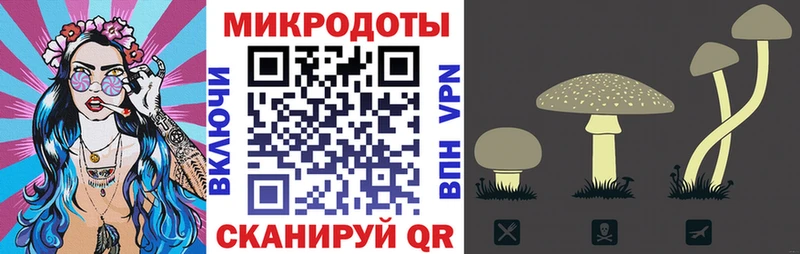 Галлюциногенные грибы мухоморы  Трубчевск 