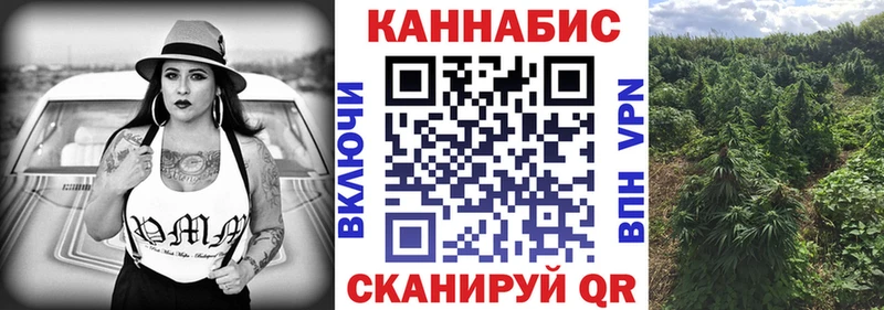 Конопля конопля Трубчевск